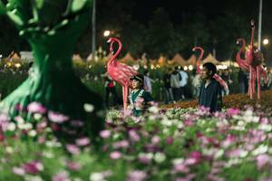 BIB: 
                            <button type="button" onclick="openModal(27337358)" class="btn btn-primary btn-sm float-right btn-popup" data-toggle="modal" data-target=".modal-high-quality">
                        <i class="fas fa-shopping-cart"></i> Add to Cart
                    </button>
                                            <button type="button" onclick="isThisMe(27337358, true)" class="btn btn-success btn-sm float-right btn-popup btn-isme hidden" data-toggle="tooltip" data-placement="bottom" title="นี่คือรูปของคุณใช่ไหม คลิกที่นี่เพื่อเอาเข้าอัลบั้ม">
                        <i class="fas fa-plus"></i> Add to album
                    </button>
                    <button type="button" onclick="isThisMe(27337358, false)" class="btn btn-warning btn-sm float-right btn-popup btn-isnotme hidden">
                        <i class="fas fa-ban"></i> Remove from album
                    </button>